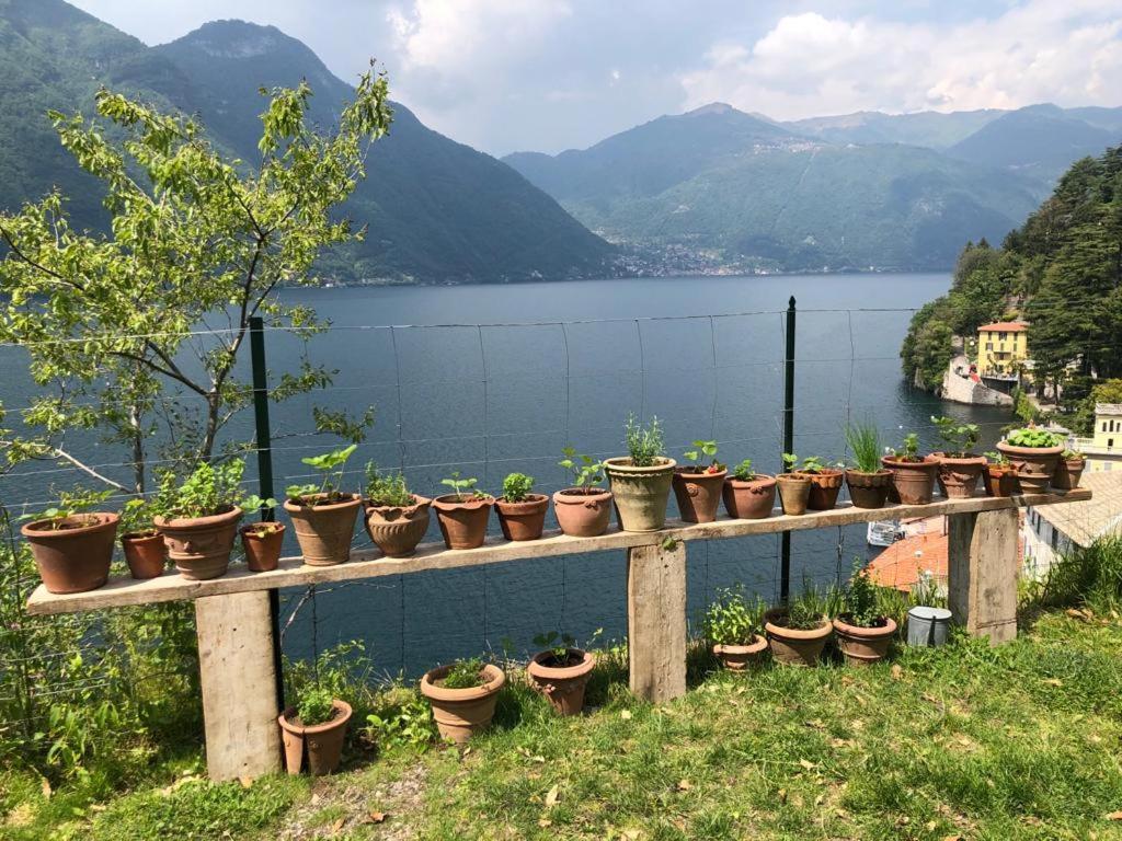 Gli Orti Della Civera " Cottagecore" Amazing View 네소 외부 사진