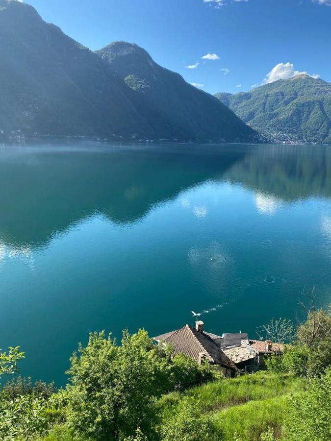 Gli Orti Della Civera " Cottagecore" Amazing View 네소 외부 사진
