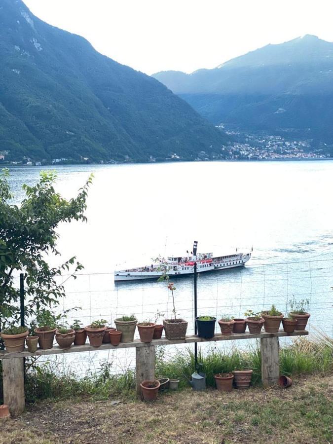 Gli Orti Della Civera " Cottagecore" Amazing View 네소 외부 사진